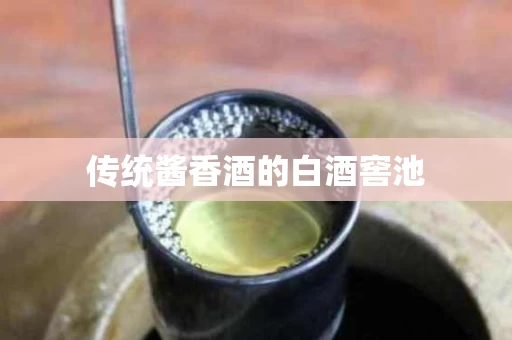 传统酱香酒的白酒窖池