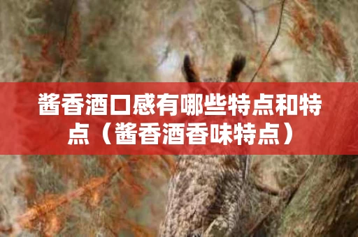 酱香酒口感有哪些特点和特点（酱香酒香味特点）
