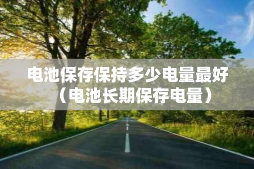 电池保存保持多少电量最好（电池长期保存电量）