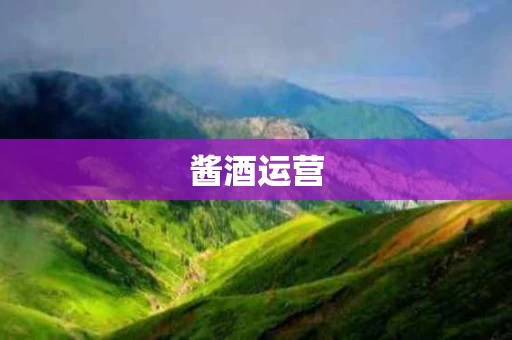 酱酒运营