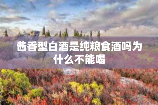 酱香型白酒是纯粮食酒吗为什么不能喝