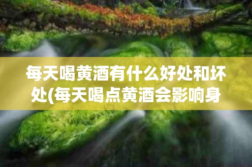 每天喝黄酒有什么好处和坏处(每天喝点黄酒会影响身体健康吗)