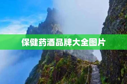 保健药酒品牌大全图片