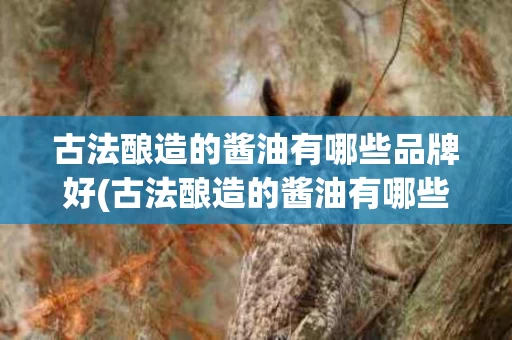古法酿造的酱油有哪些品牌好(古法酿造的酱油有哪些品牌好用)