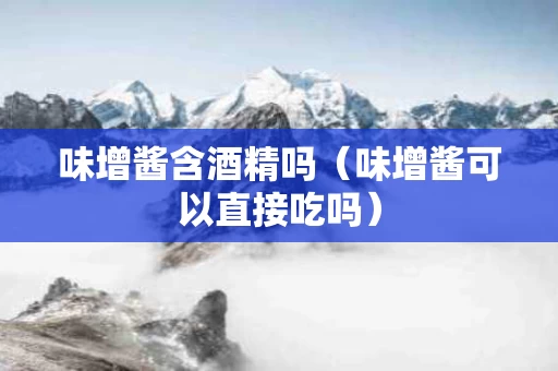 味增酱含酒精吗（味增酱可以直接吃吗）