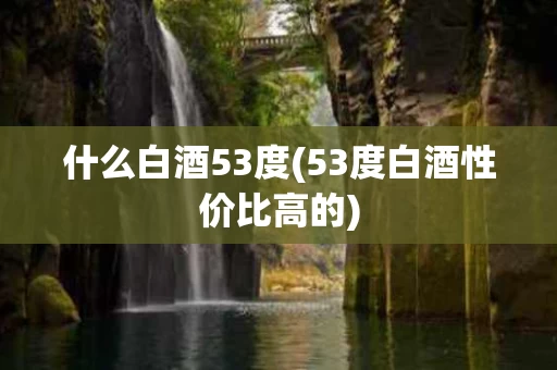 什么白酒53度(53度白酒性价比高的)