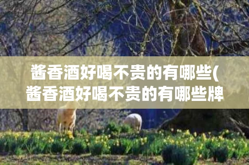 酱香酒好喝不贵的有哪些(酱香酒好喝不贵的有哪些牌子)