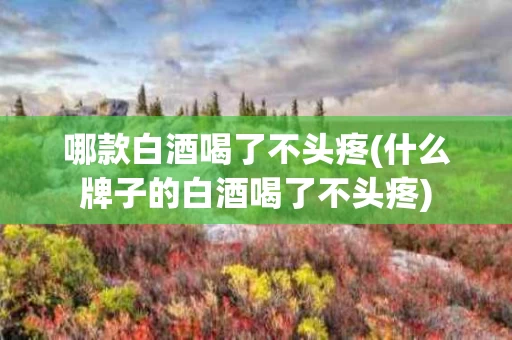 哪款白酒喝了不头疼(什么牌子的白酒喝了不头疼)
