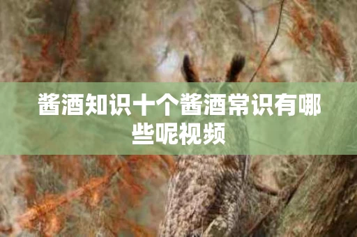 酱酒知识十个酱酒常识有哪些呢视频