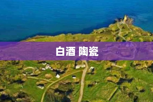 白酒 陶瓷