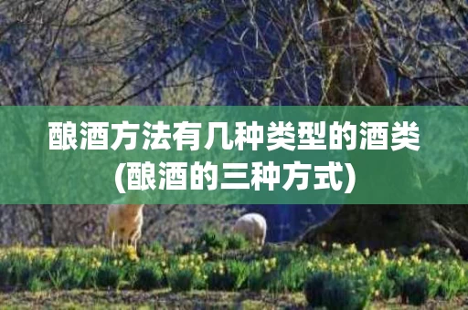 酿酒方法有几种类型的酒类(酿酒的三种方式)