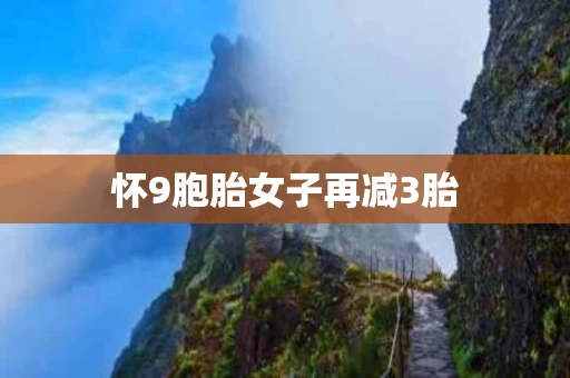 怀9胞胎女子再减3胎