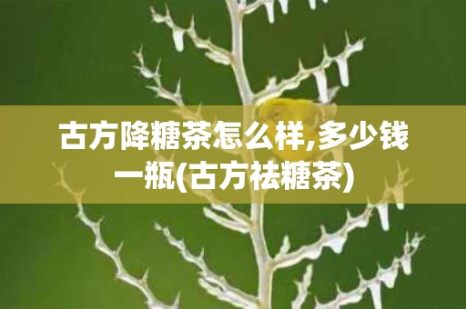 古方降糖茶怎么样,多少钱一瓶(古方祛糖茶)