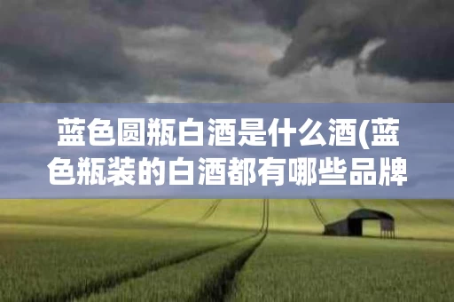 蓝色圆瓶白酒是什么酒(蓝色瓶装的白酒都有哪些品牌)