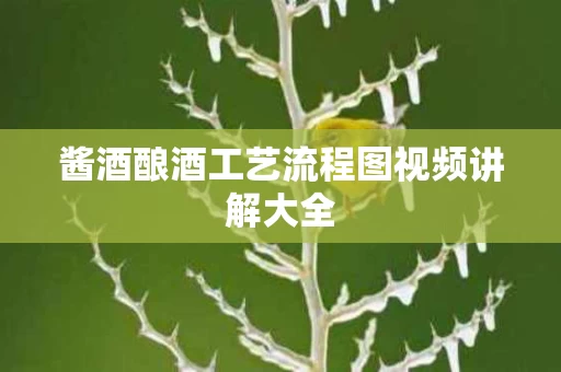 酱酒酿酒工艺流程图视频讲解大全