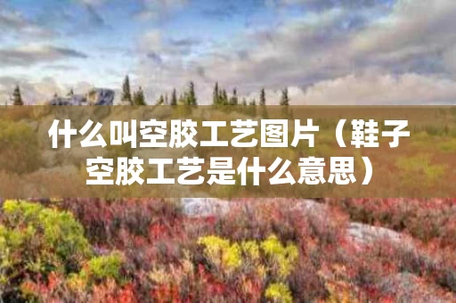 什么叫空胶工艺图片（鞋子空胶工艺是什么意思）