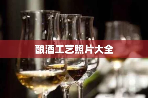 酿酒工艺照片大全