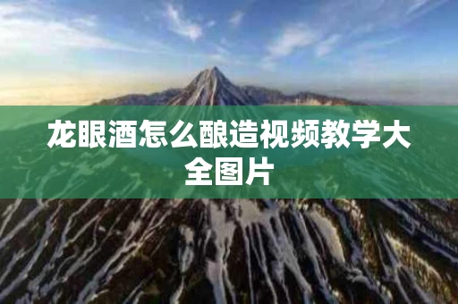 龙眼酒怎么酿造视频教学大全图片