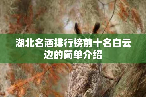 湖北名酒排行榜前十名白云边的简单介绍