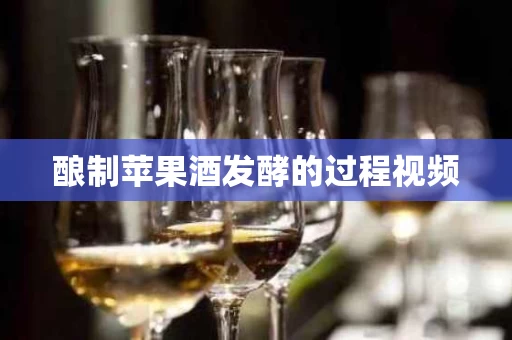 酿制苹果酒发酵的过程视频