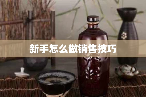 新手怎么做销售技巧