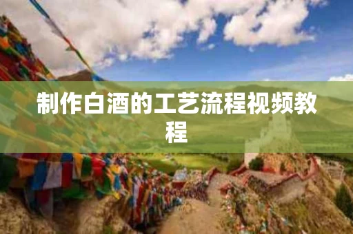 制作白酒的工艺流程视频教程