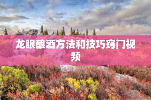 龙眼酿酒方法和技巧窍门视频