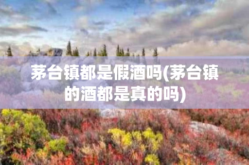 茅台镇都是假酒吗(茅台镇的酒都是真的吗)