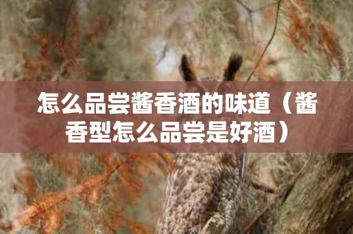 怎么品尝酱香酒的味道（酱香型怎么品尝是好酒）