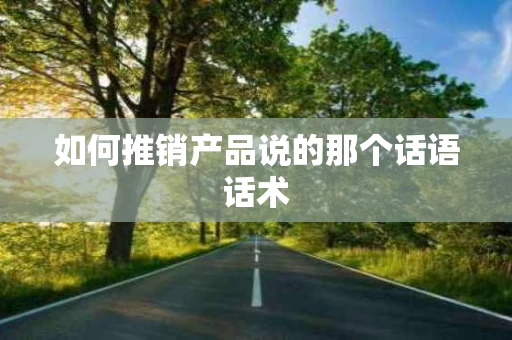 如何推销产品说的那个话语话术