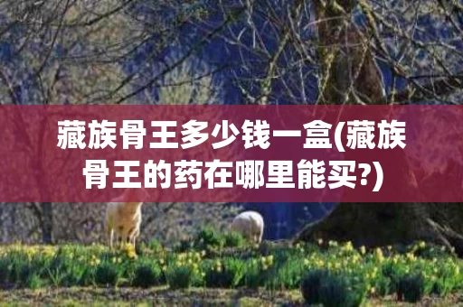 藏族骨王多少钱一盒(藏族骨王的药在哪里能买?)