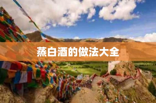 蒸白酒的做法大全