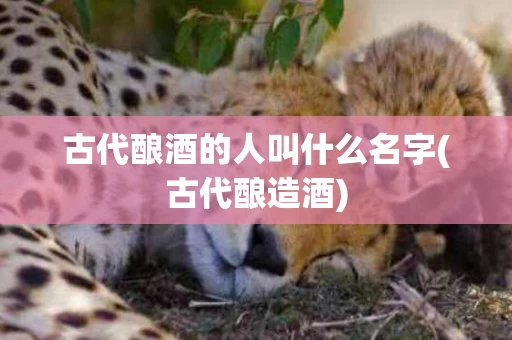 古代酿酒的人叫什么名字(古代酿造酒)