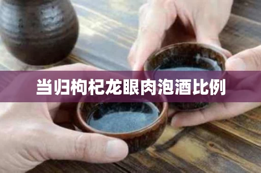 当归枸杞龙眼肉泡酒比例