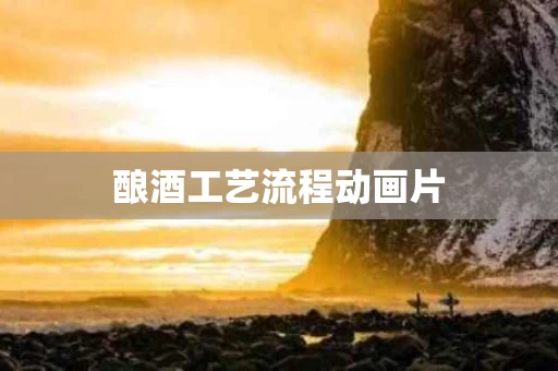 酿酒工艺流程动画片