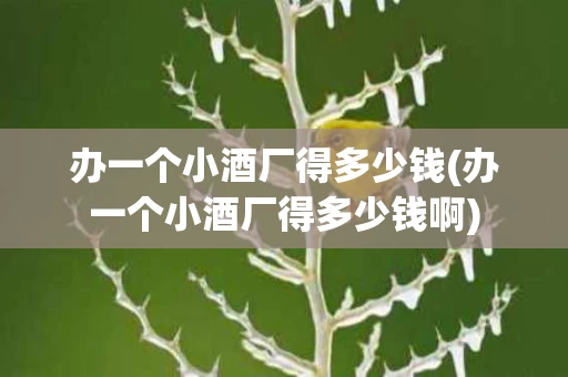 办一个小酒厂得多少钱(办一个小酒厂得多少钱啊)