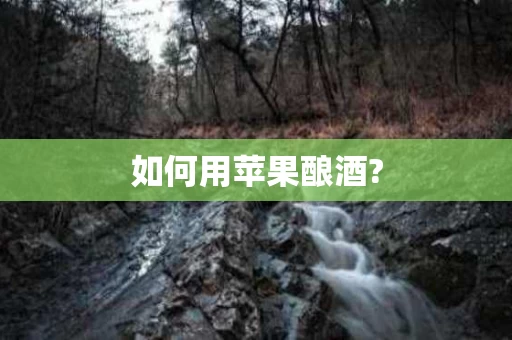 如何用苹果酿酒?