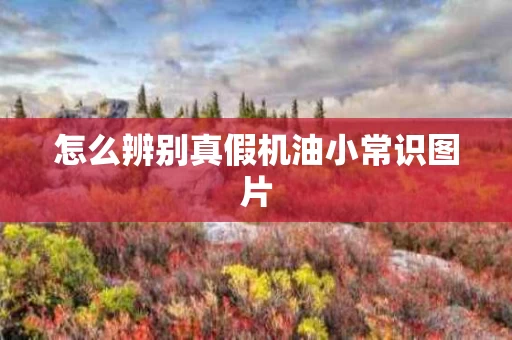 怎么辨别真假机油小常识图片