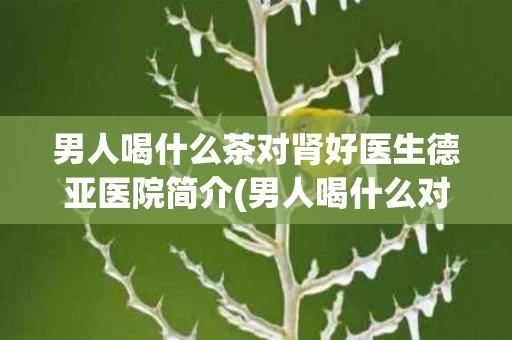 男人喝什么茶对肾好医生德亚医院简介(男人喝什么对肾有好处?)