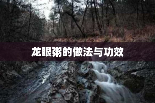 龙眼粥的做法与功效