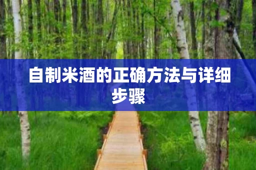自制米酒的正确方法与详细步骤