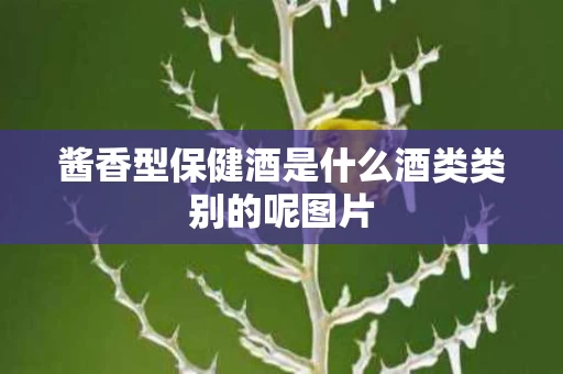 酱香型保健酒是什么酒类类别的呢图片