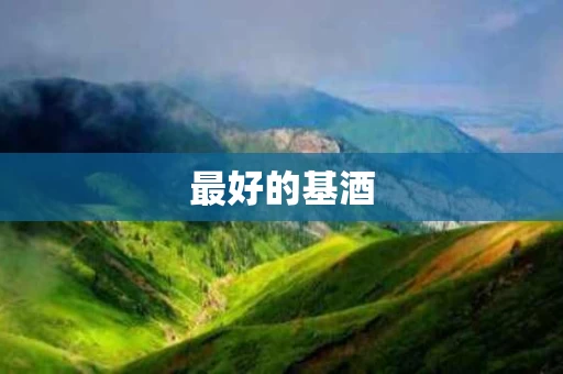 最好的基酒 最好的基酒