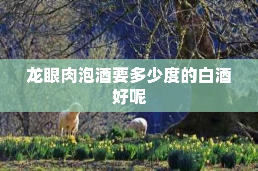 龙眼肉泡酒要多少度的白酒好呢