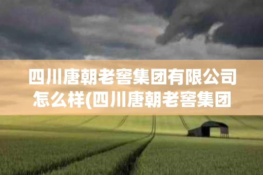 四川唐朝老窖集团有限公司怎么样(四川唐朝老窖集团有限公司怎么样呀)
