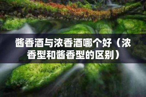 酱香酒与浓香酒哪个好（浓香型和酱香型的区别）