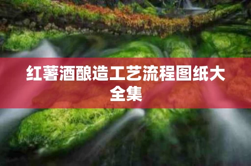 红薯酒酿造工艺流程图纸大全集