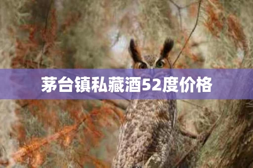 茅台镇私藏酒52度价格