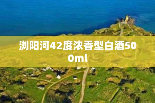 浏阳河42度浓香型白酒500ml