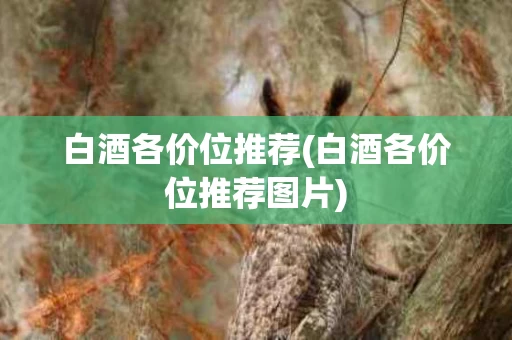 白酒各价位推荐(白酒各价位推荐图片)